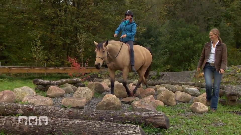 Diana testet die Reitsportart "Extreme Trail" Diana testet die Reitsportart "Extreme Trail"