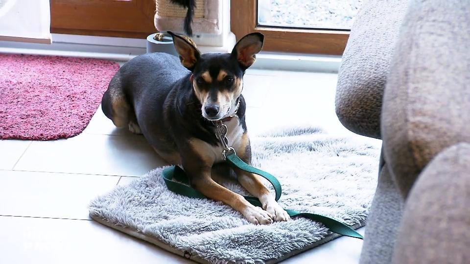 Kimmy ist viel ruhiger geworden Kimmy ist viel ruhiger geworden