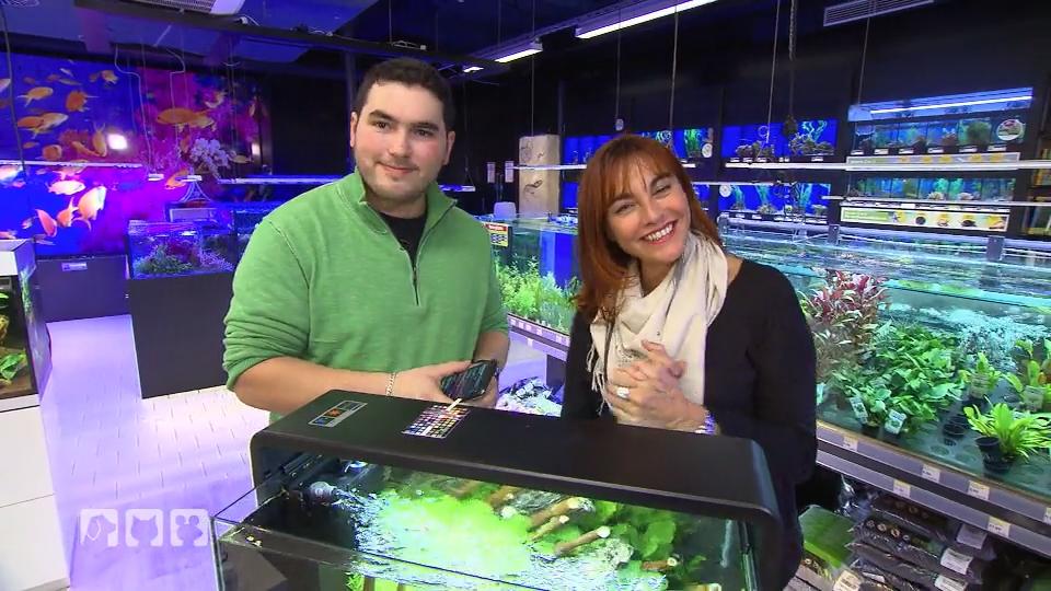 Diana Eichhorn gibt Tipps fürs erste Aquarium Diana Eichhorn gibt Tipps fürs erste Aquarium