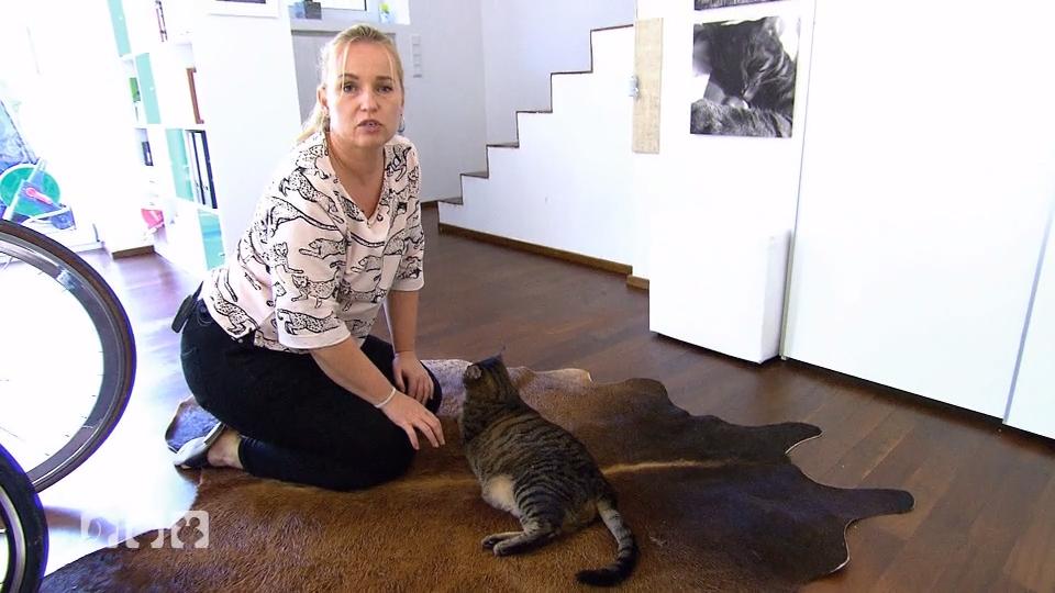 Aus Verzweiflung wird Sammy ins Bad verbannt Aus Verzweiflung wird Sammy ins Bad verbannt