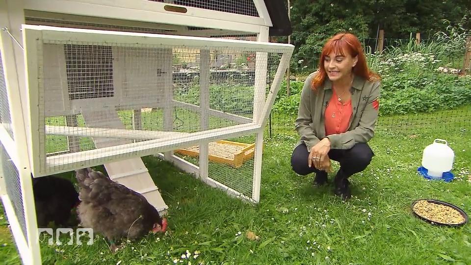 Hühnerhaltung in der Stadt? Hühnerhaltung in der Stadt?