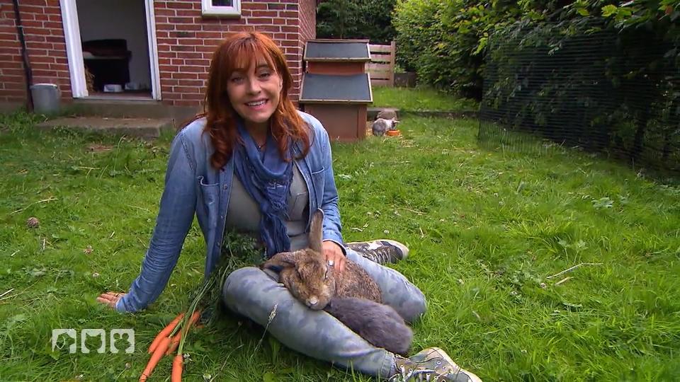 Typische Probleme mit Senioren-Kaninchen Typische Probleme mit Senioren-Kaninchen