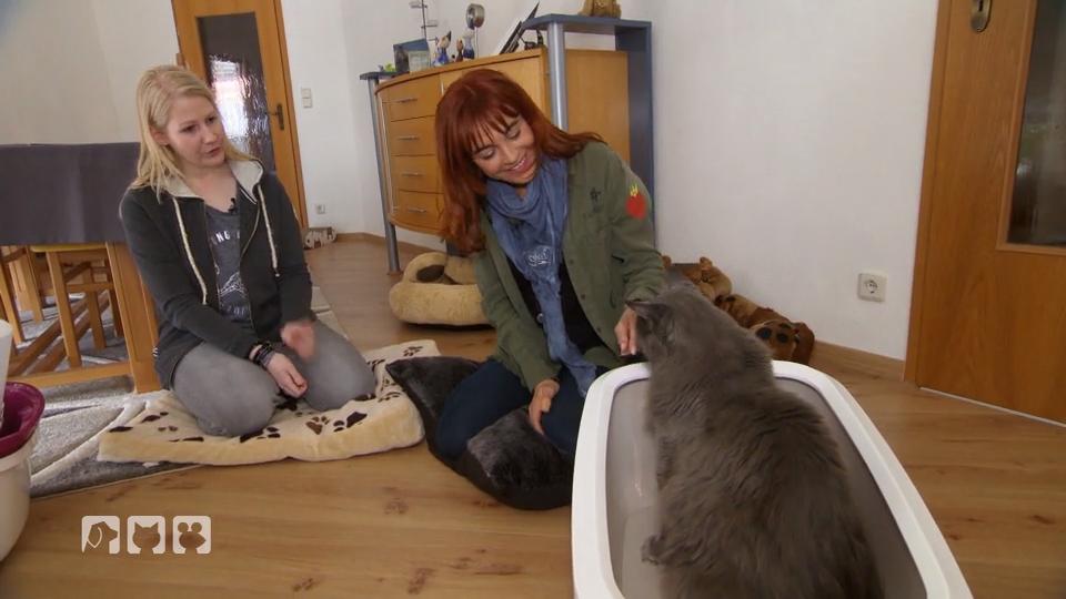 Diana gibt Tipps für das richtige Katzenklo Diana gibt Tipps für das richtige Katzenklo