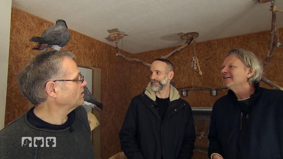 Frank Weber findet ein perfektes Zuhause Frank Weber findet ein perfektes Zuhause