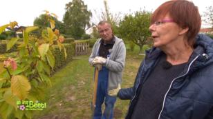 Regine spricht mit ihren Pflanzen Regine spricht mit ihren Pflanzen
