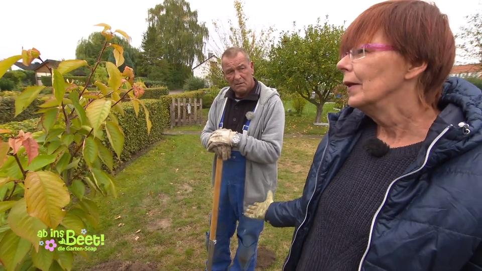 Regine spricht mit ihren Pflanzen Regine spricht mit ihren Pflanzen