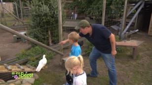 Marco präsentiert sein neues Entengehege Marco präsentiert sein neues Entengehege