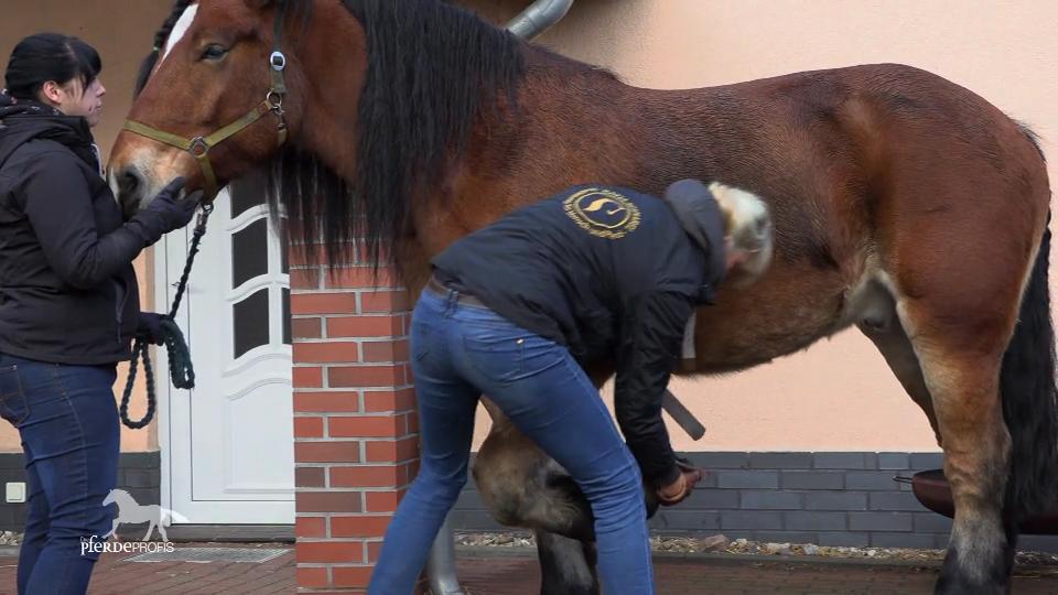 Hält Keks auch die Raspel aus? Hält Keks auch die Raspel aus?
