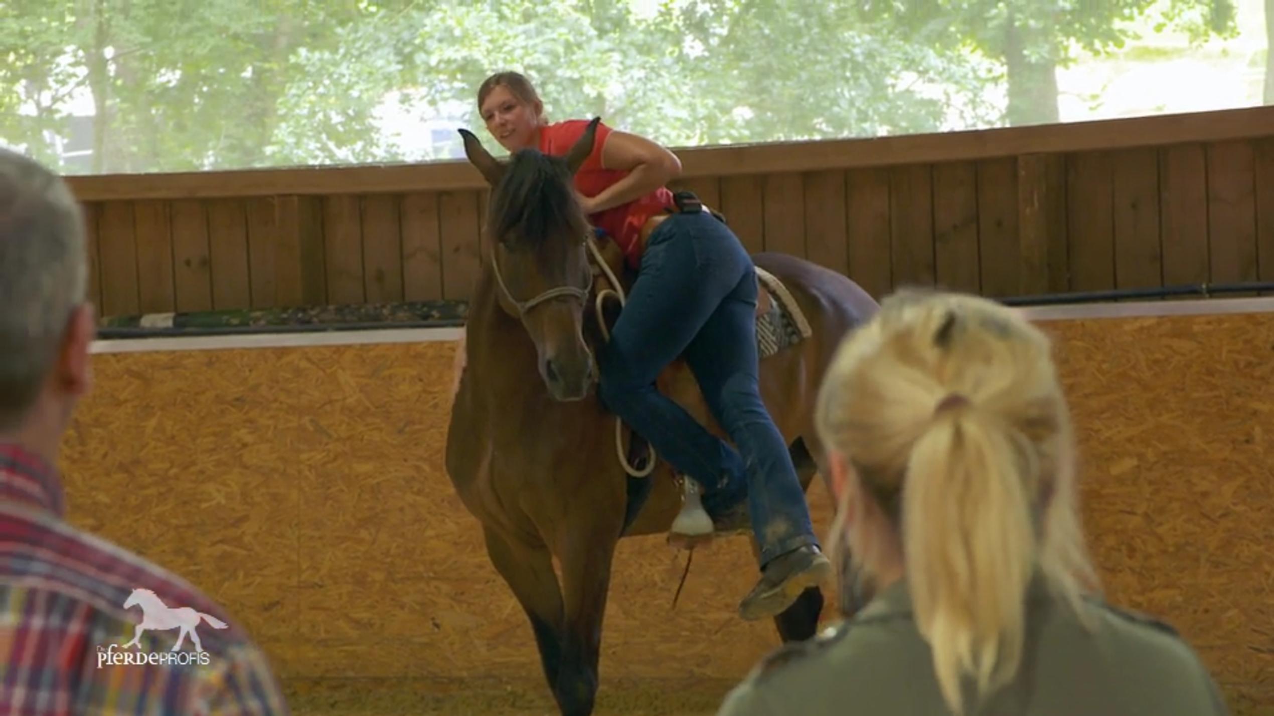 Wildfire tastet sich langsam ans Reiten heran Wildfire tastet sich langsam ans Reiten heran