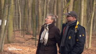 Auf dem Weg in eine Fern-Ehe Auf dem Weg in eine Fern-Ehe