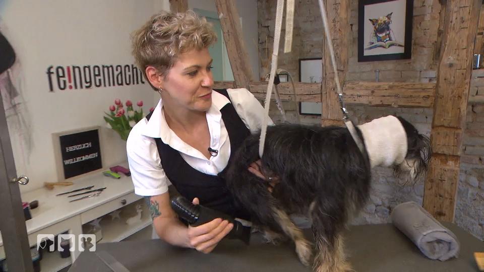 Luft marsch: Lisa mag den Föhn nicht Luft marsch: Lisa mag den Föhn nicht