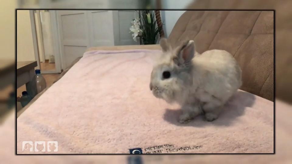 Fridolin hat ein neues Zuhause gefunden Fridolin hat ein neues Zuhause gefunden