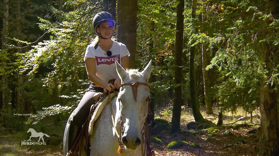 Zum ersten Mal wieder Ausreiten im Gelände Zum ersten Mal wieder Ausreiten im Gelände