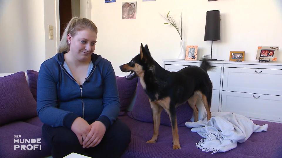 Greta nimmt die Bude auseinander Greta nimmt die Bude auseinander