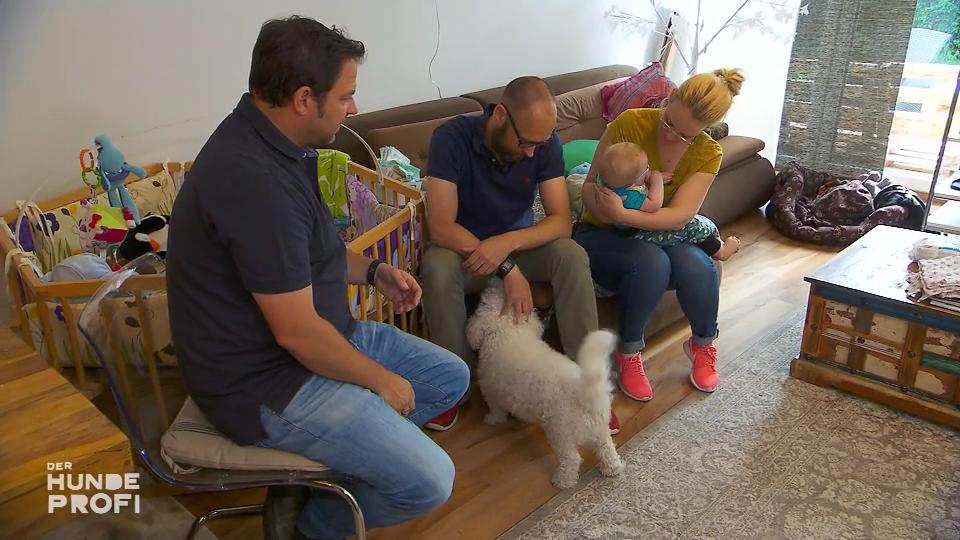 Der Familienhund möchte die Kinder erziehen Der Familienhund möchte die Kinder erziehen
