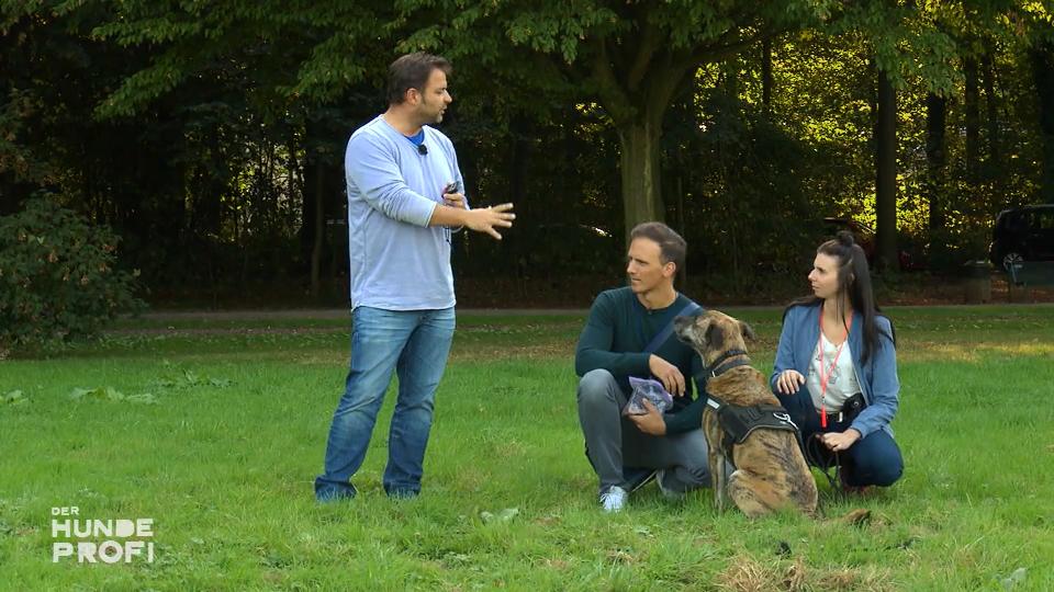 Mit dem Sprühimpuls lernt Hector schnell Mit dem Sprühimpuls lernt Hector schnell