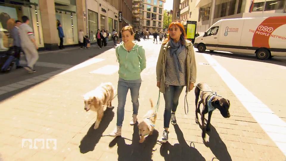 Ein Aufreger für Hunde- und Nichthundehalter Ein Aufreger für Hunde- und Nichthundehalter