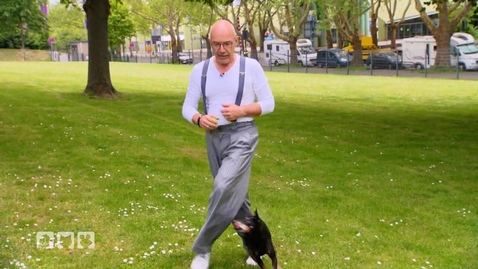 Ein Tanz zwischen Mensch und Hund Ein Tanz zwischen Mensch und Hund