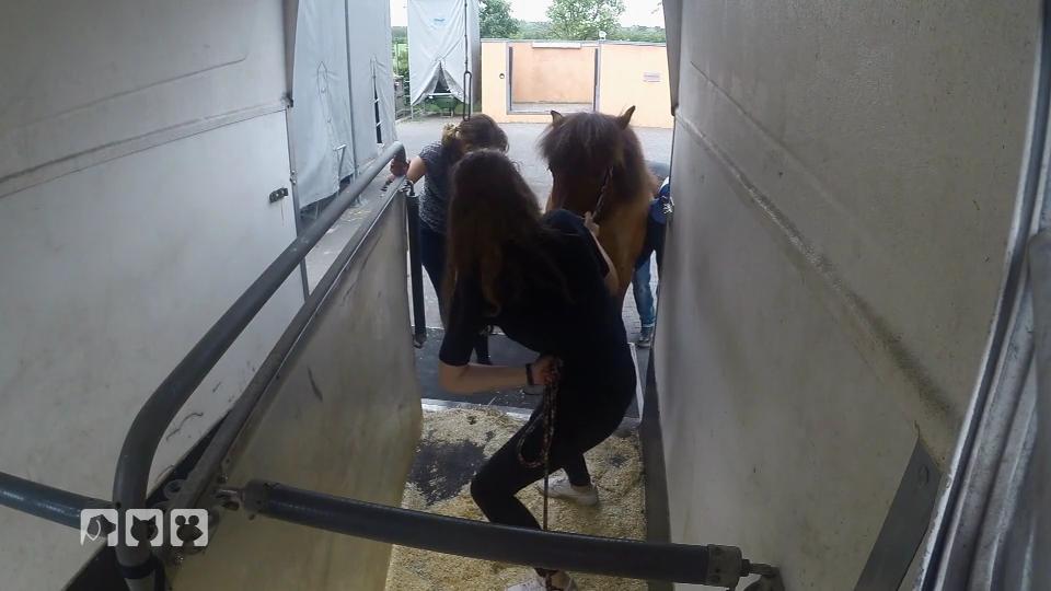 Snot zieht in ihr neues Zuhause Snot zieht in ihr neues Zuhause