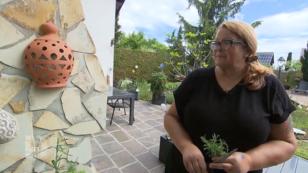 Claudia liebt ihren Garten Claudia liebt ihren Garten
