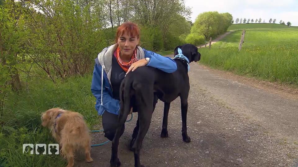 Joggen mit Hund: Was sie beachten sollten Joggen mit Hund: Was sie beachten sollten