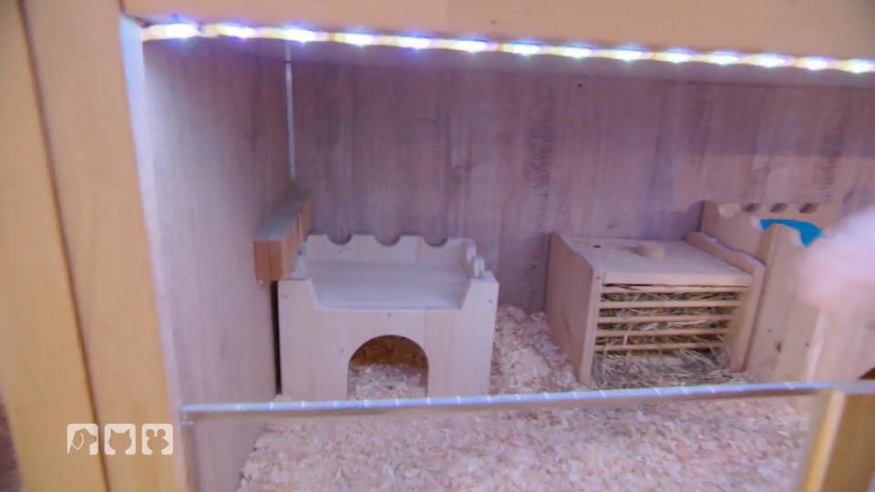 Ein Gehege für Meerschweinchen Ein Gehege für Meerschweinchen