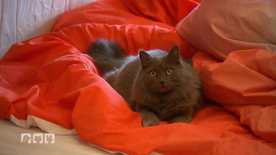 Lucy tickt völlig aus Lucy tickt völlig aus