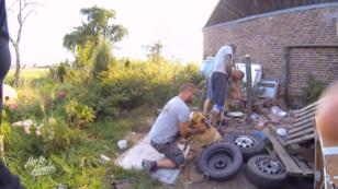 Zwei Kettenhunde aus Polen Zwei Kettenhunde aus Polen
