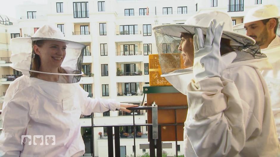 Eine Imkerei in der Großstadt Eine Imkerei in der Großstadt