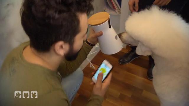 Was kann diese Leckerli-Maschine? Was kann diese Leckerli-Maschine?