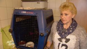 Das 2. Katzenkind konnte eingefangen werden Das 2. Katzenkind konnte eingefangen werden