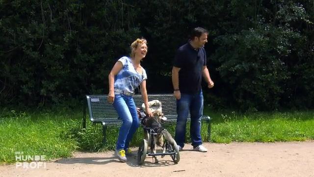 Martin muss durch ein Wechselbad an Gefühlen Martin muss durch ein Wechselbad an Gefühlen