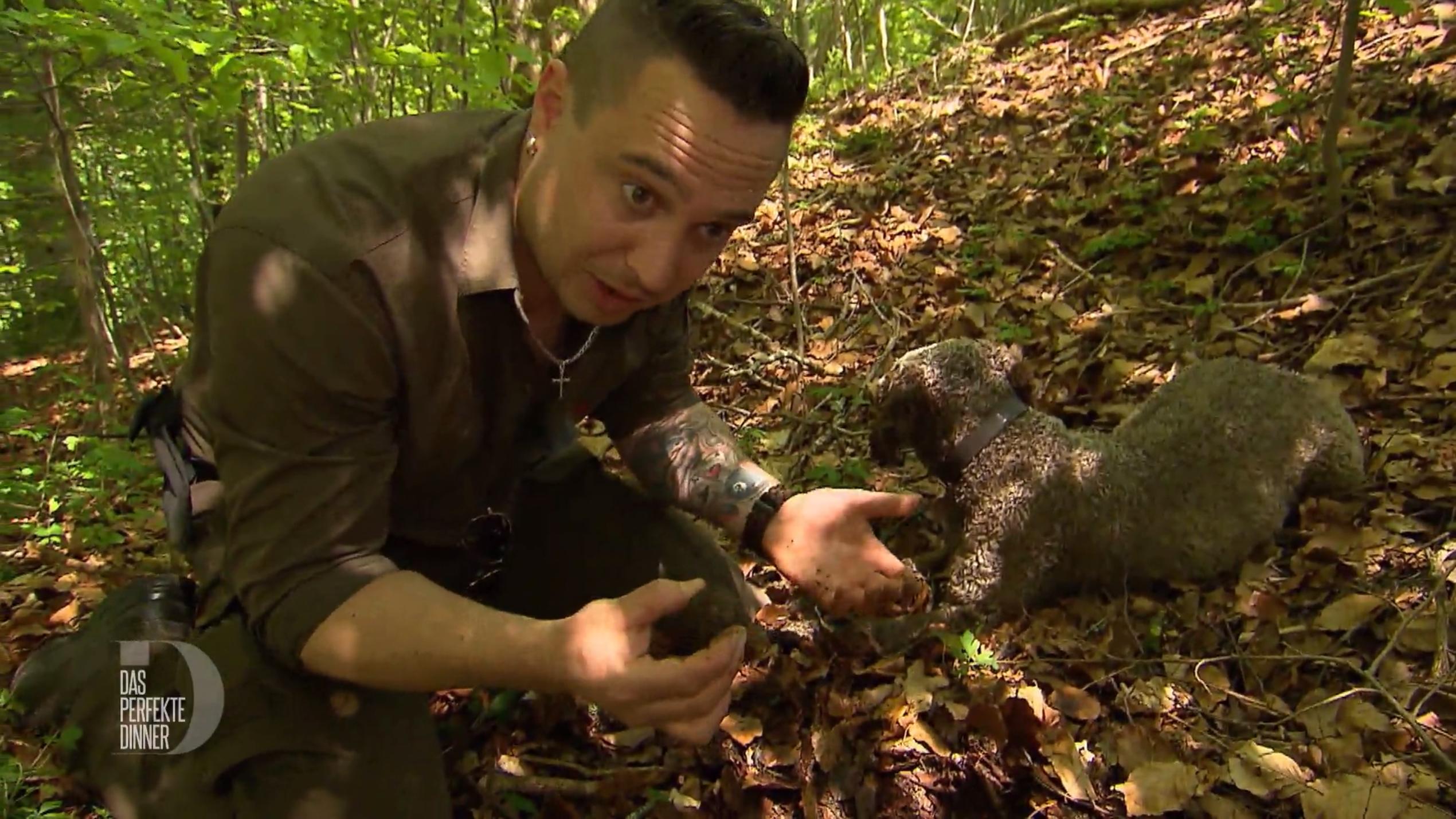 Simon auf Trüffelsuche im Wald Simon auf Trüffelsuche im Wald