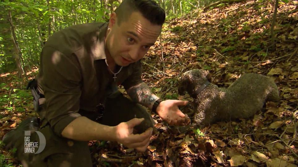 Simon auf Trüffelsuche im Wald Simon auf Trüffelsuche im Wald