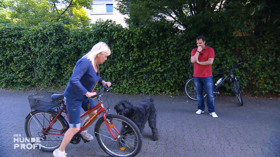 Fahrrad + Mensch = großes Gebelle! Fahrrad + Mensch = großes Gebelle!