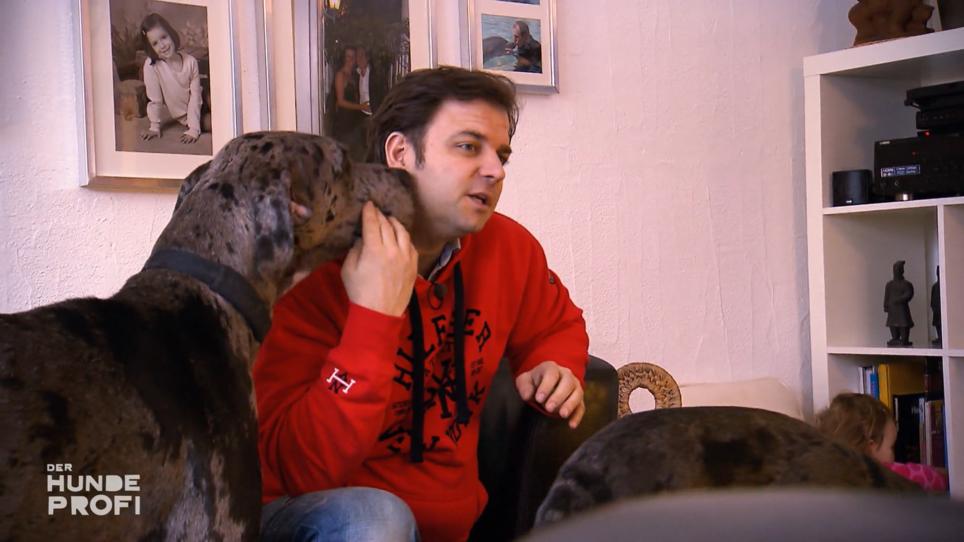 In diesem Haushalt haben die Hunde das Sagen In diesem Haushalt haben die Hunde das Sagen