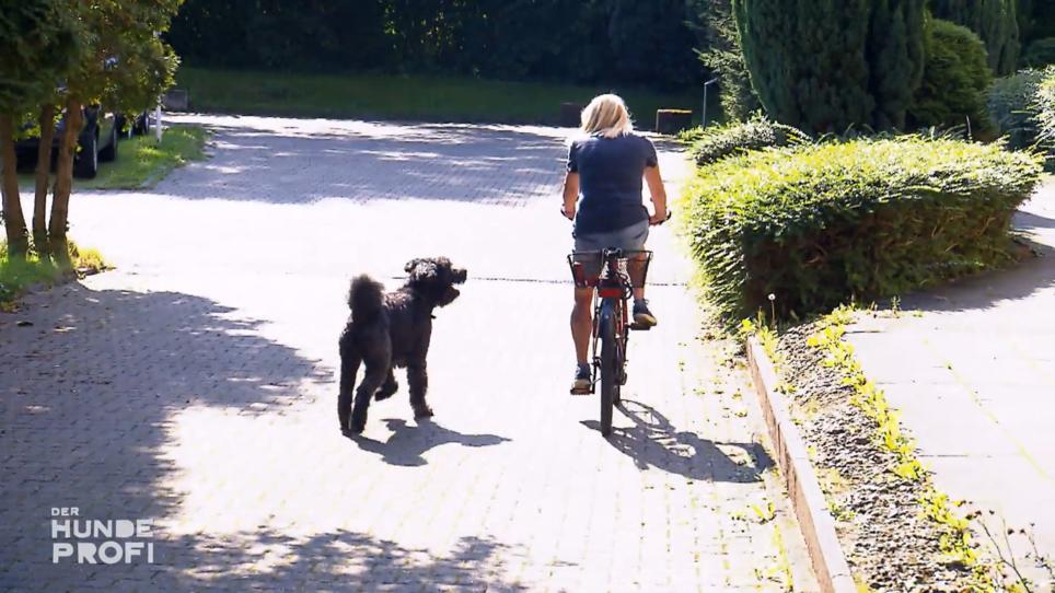 Tilo und Patricia können jetzt zusammen radeln! Tilo und Patricia können jetzt zusammen radeln!