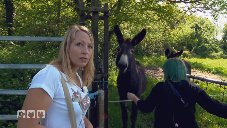 Tiere in Not: Judith Pein ist erschüttert Tiere in Not: Judith Pein ist erschüttert