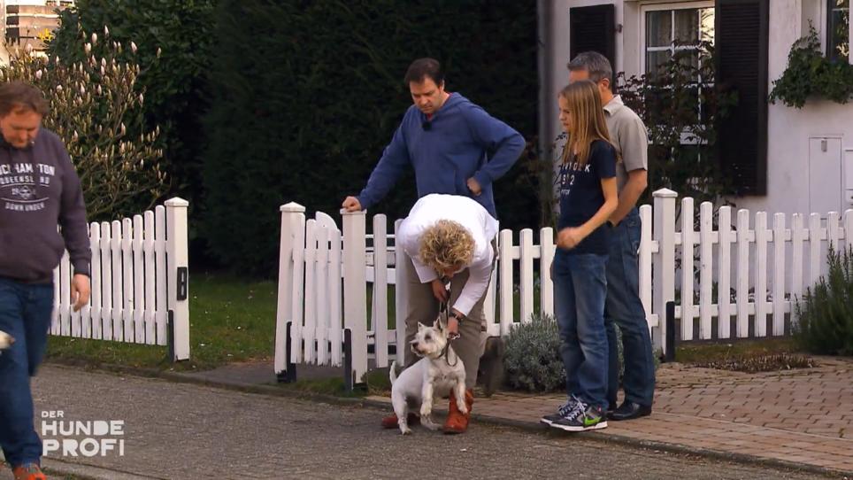 Sam zeigt sich von seiner "besten" Seite Sam zeigt sich von seiner "besten" Seite