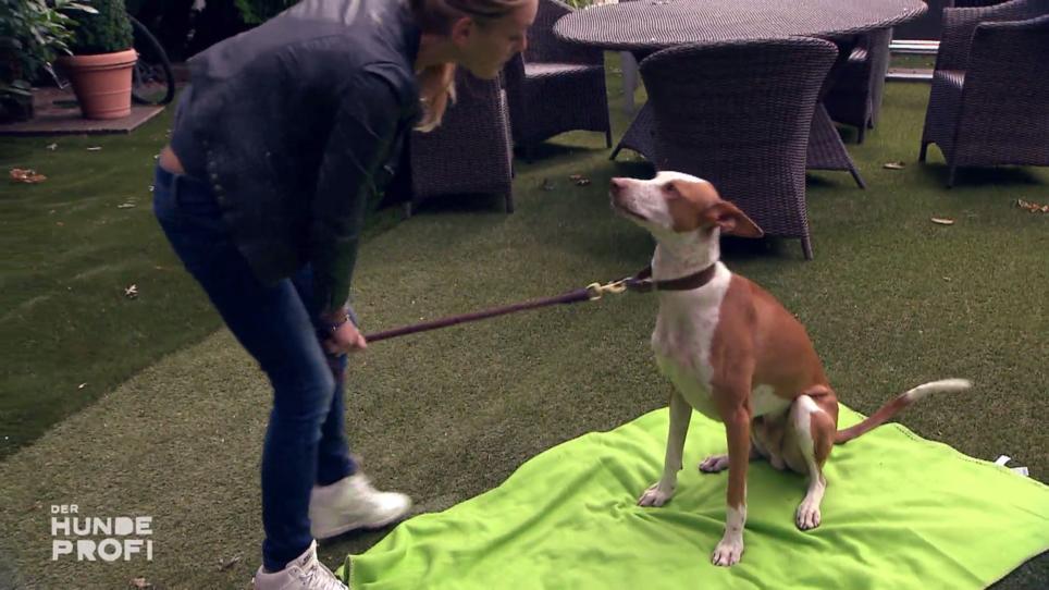 Bei Laura und Pepino stimmt die Chemie nicht Bei Laura und Pepino stimmt die Chemie nicht
