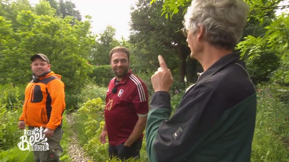 Die Beet-Brüder erwartet ein Dschungel Die Beet-Brüder erwartet ein Dschungel