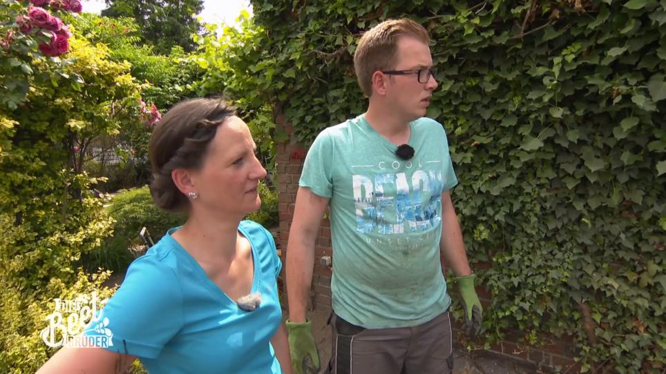 Die Wandfarbe gefällt den Hausherren nicht Die Wandfarbe gefällt den Hausherren nicht