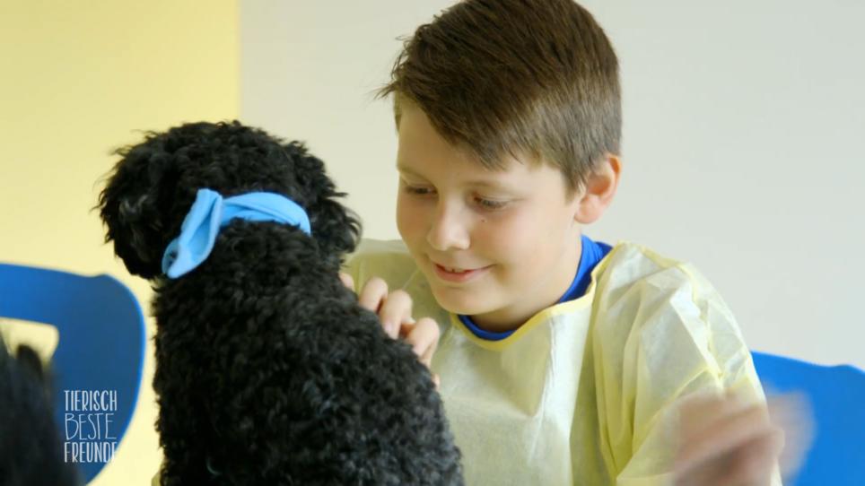 Die tierischen Freunde besuchen die Kinderklinik Die tierischen Freunde besuchen die Kinderklinik