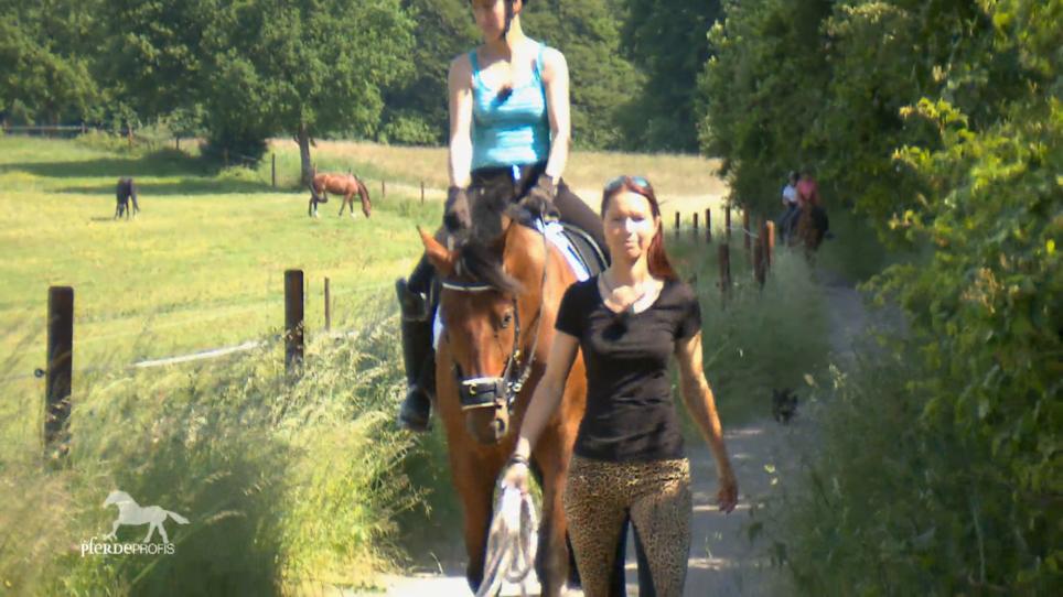 Sandras Training bringt erste Erfolge Sandras Training bringt erste Erfolge