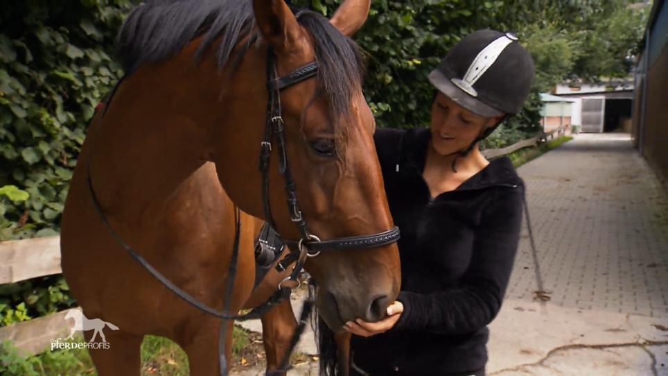 Sabrina und Chester verstehen sich besser denn je Sabrina und Chester verstehen sich besser denn je