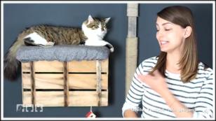 Kratzgelegenheiten für Katzen Kratzgelegenheiten für Katzen