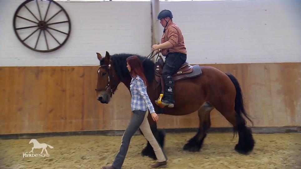 Erster Kontakt nach Reitunfall Erster Kontakt nach Reitunfall
