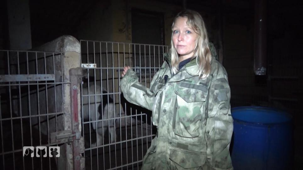 Verstösse gegen die Tierschutzverordnung Verstösse gegen die Tierschutzverordnung