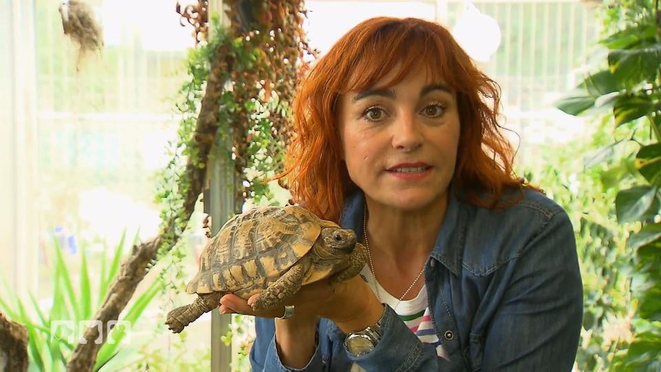 Diana Eichhorn gibt Tipps zur Haltung der Tiere Diana Eichhorn gibt Tipps zur Haltung der Tiere