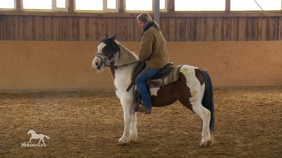 Der Tinker kann endlich bestiegen werden Der Tinker kann endlich bestiegen werden